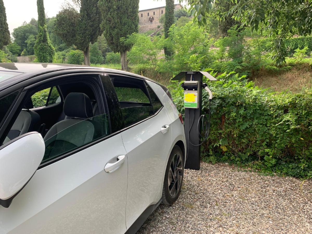 L'Isolo B&B E Case Vacanza Monzambano Kültér fotó