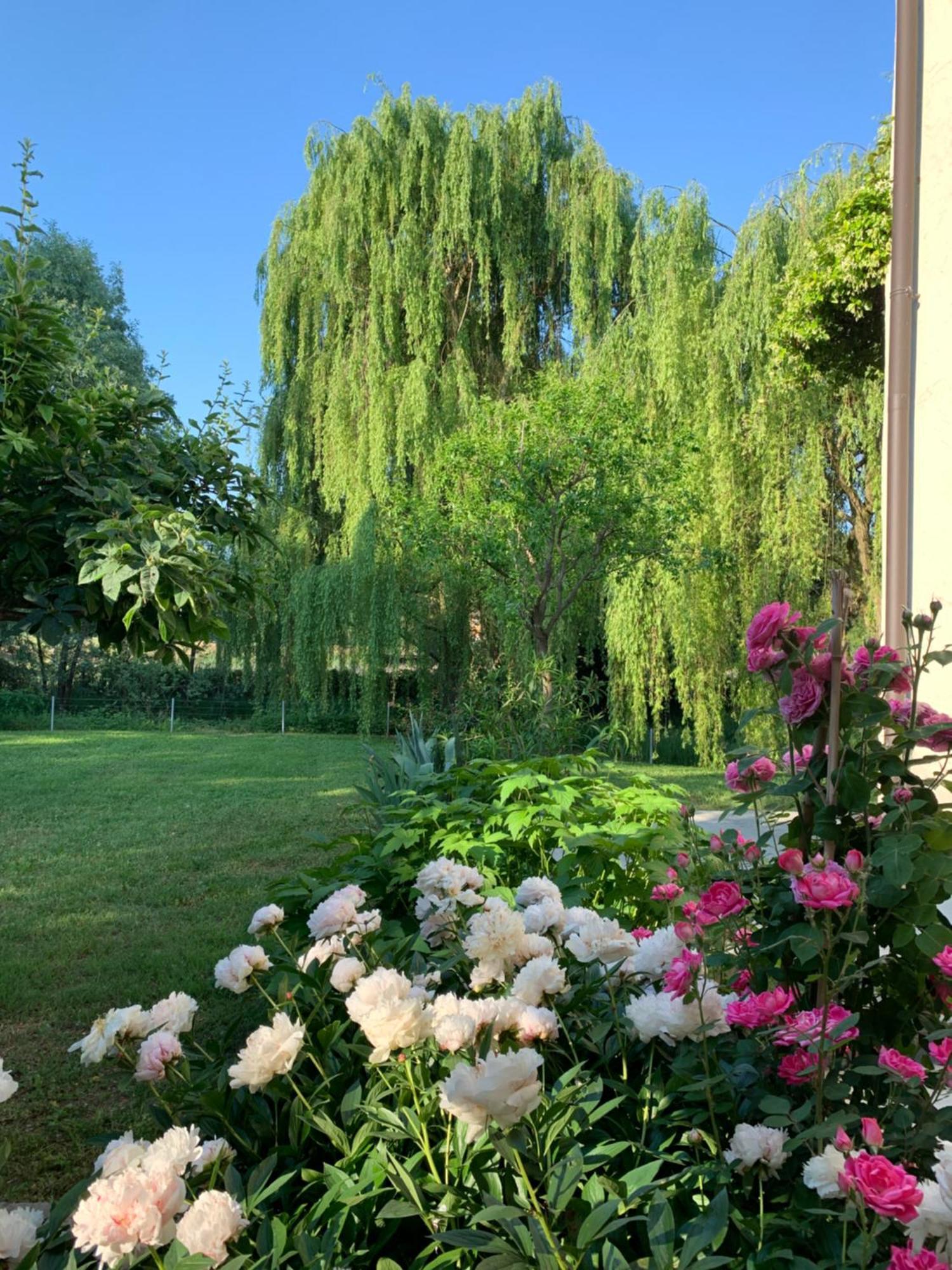 L'Isolo B&B E Case Vacanza Monzambano Kültér fotó